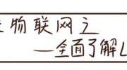 LoRa访谈录| 这本“中国LoRa产业市场调研报告2020版”记录了LoRa的所有秘密