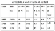 2023年上半年|挑战与机遇并存 看海康威视、大华股份、千方科技市场发展如何