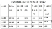 2023年上半年|挑战与机遇并存 看海康威视、大华股份、千方科技市场发展如何