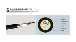 【展商推荐】辽宁隆芯通讯设备有限公司——专业光纤光缆产品生产厂家