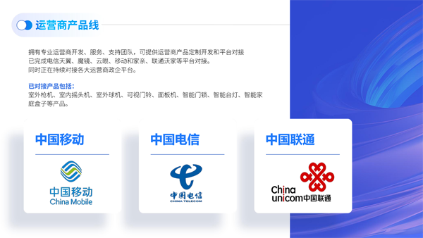 芯睿视科技有限公司介绍2024(1)-28.png